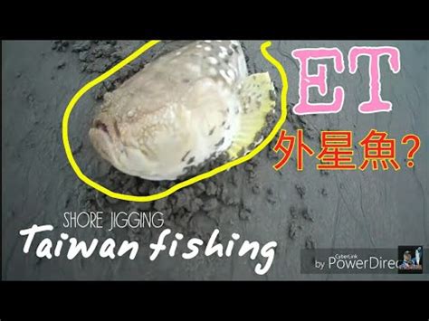 披肩瞻星魚|請問這條兇猛的魚是什麼魚呀？能吃嗎？